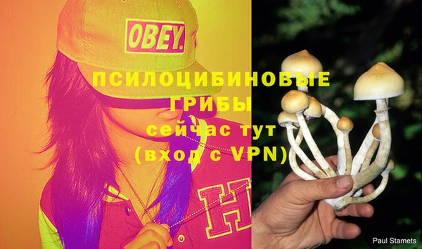 каннабис Магадан