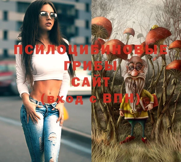 метадон Магас