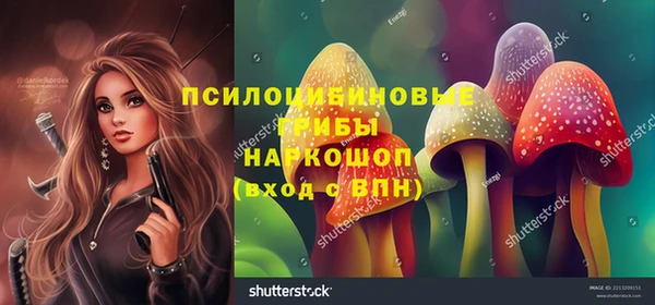 метадон Магас