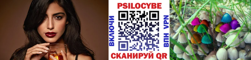 хочу наркоту  Переславль-Залесский  Псилоцибиновые грибы Magic Shrooms 