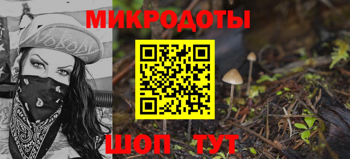 Переславль-Залесский  Псилоцибиновые грибы прущие грибы  Вход с VPN  Галлюциногенные грибы Psilocybine cubensis 